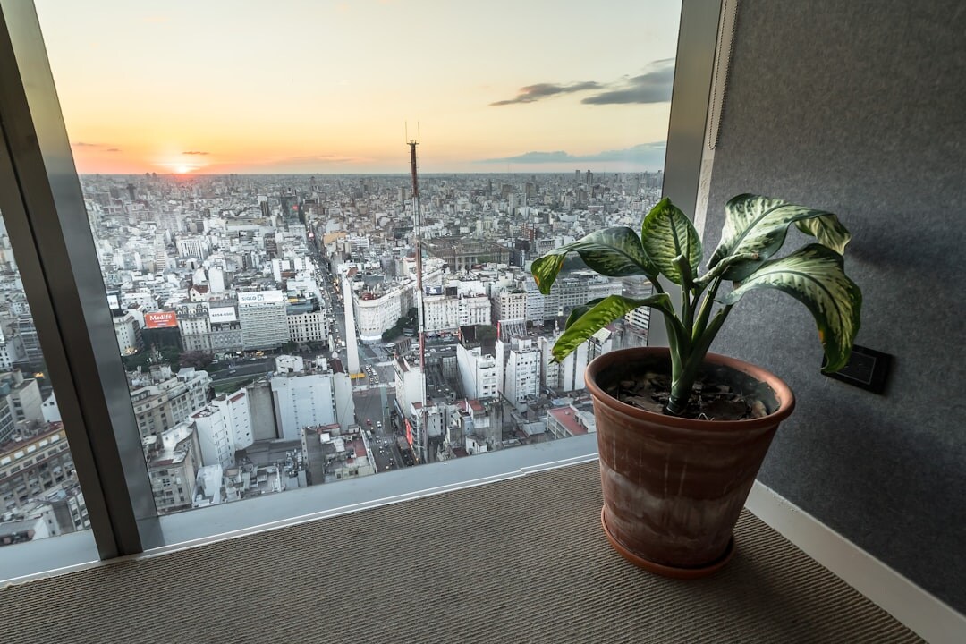 Buenos Aires city skyline at dusk with warm lights